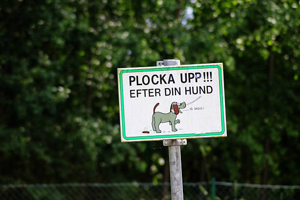 istock A Swedish sign saying - pick up after your dog 2224257336