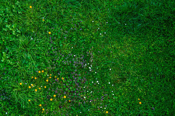 istock Background of beautiful nature 2224257444
