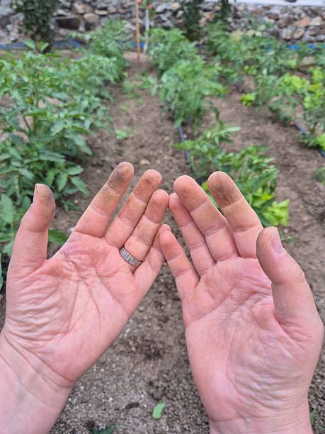 hands dirty from working in the garden
