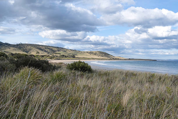 istock Coastal Dunes with Beach and Rolling Hills 2224260823