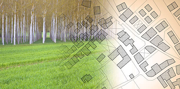 istock Imaginary topographic cadastral map and land parcels of territory with trees on background and buildable vacant land for sale - concept image 2224272163
