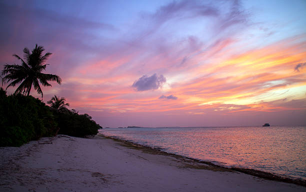 istock Sunset over the ocean with colorful sky, tranquil beach and palm tree 2224272216