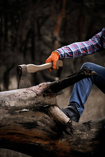 Cropped view of Man Chopping Wood With Axe In Forest
