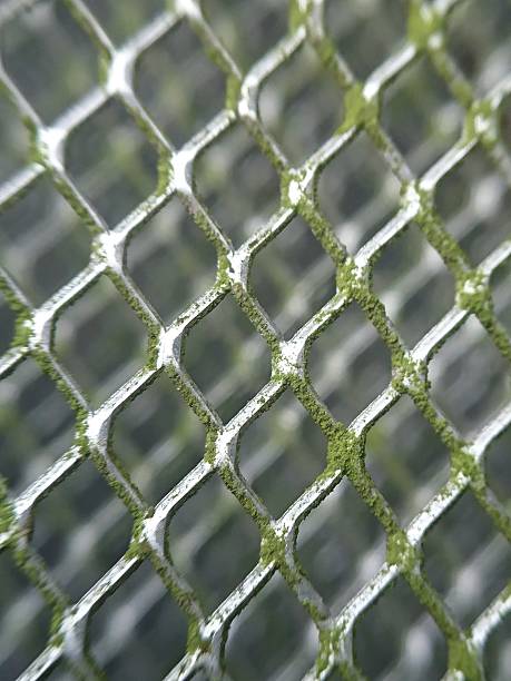 istock Macro of Rusty Mesh Fence with Green Mold 2224284021