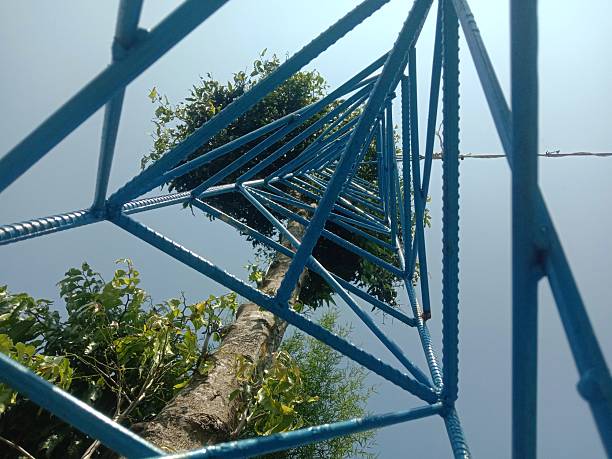 A unique upward perspective of a blue steel tower structure with a tree growing through it, set against a clear sky