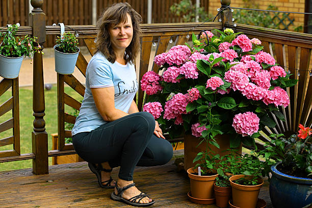 Hydrangeas can still grow very large and floriforous, in containers, if properly cared for.