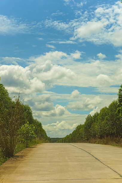 A straight, empty concrete road flanked by lush green trees under a bright blue sky, capturing peaceful rural vibes in South Sumatra, Indonesia.