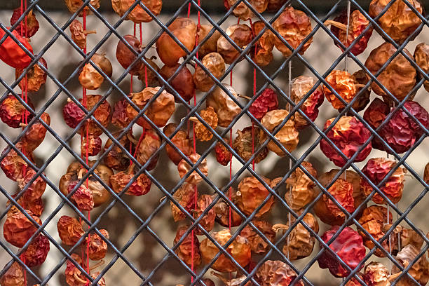 Sun-dried tomatoes hanging on strings by a fence from benidorm town in spain