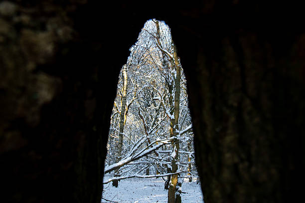 Light finds a way through the tunnel.