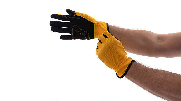 istock Workers prepare for safety with protective gloves 2224294334