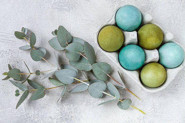 Easter colored eggs, in green and turquoise tones, with eucalyptus leaves, Easter card, top view, no people,