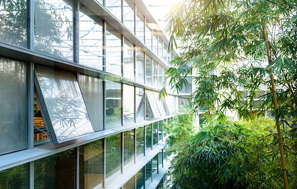 istock Plants outside the office building window 2224303490