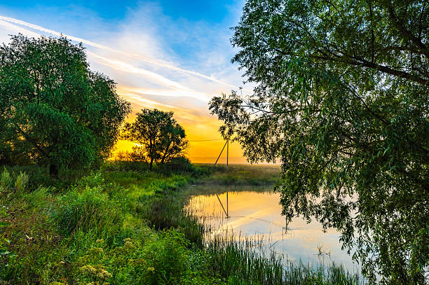 istock Body of water with a tree in the foreground 2224304728