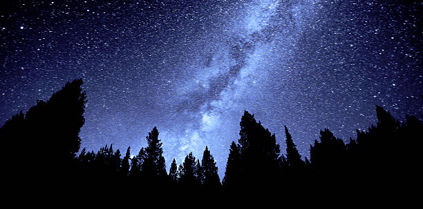 Milky Way in night sky with forest silhouette by stars