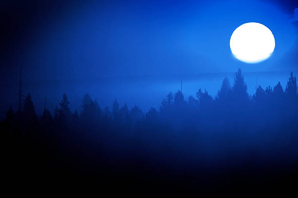 A solitary tree on a ridge is painted in the light of the rising Moon and the photographer.  Long exposure.