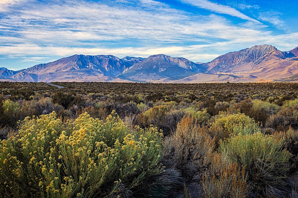 istock Captivating View of Mono Lake and Sierra Nevada Mountains 2224307797