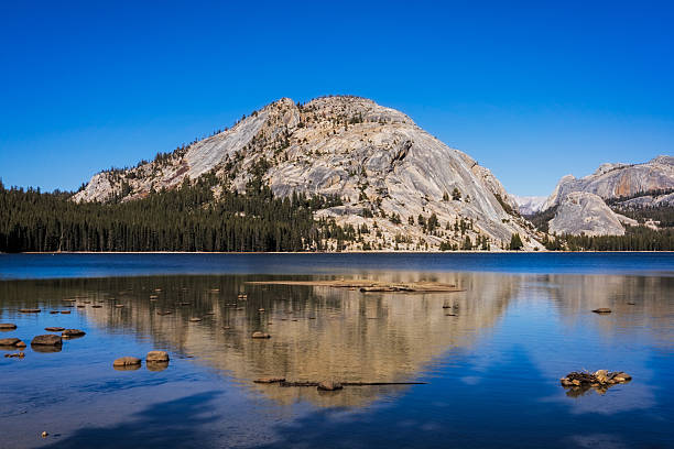 A tranquil sandy shoreline at Tenaya Lake in Yosemite National Park, California, surrounded by towering granite mountains and lush forest. The crystal-clear water reflects the bright blue sky, creating a peaceful atmosphere perfect for nature lovers, hikers, and outdoor enthusiasts. This picturesque setting captures the essence of Yosemite’s natural beauty and the Sierra Nevada wilderness.