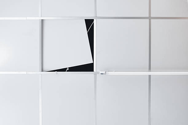 Suspended ceiling with opened service maintenance hole and fluorescent light