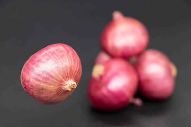 istock Fresh Onion, isolated on black background. 2224309995