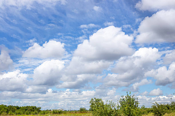 Serene cloudy landscape with green meadow under sky with fluffy white clouds.