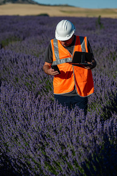 istock An agricultural technician using a computer and telephone to inspect a lavender field in full bloom before harvesting. 2224317085
