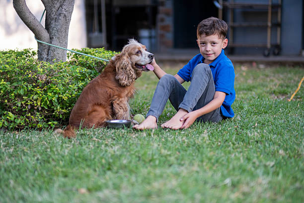 boy enjoying playing with his dog outdoors