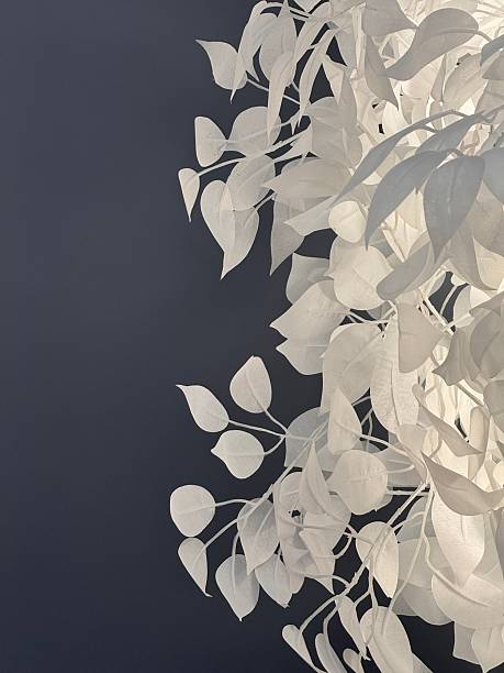 istock Minimalist white leaf decoration against blue background 2224323675