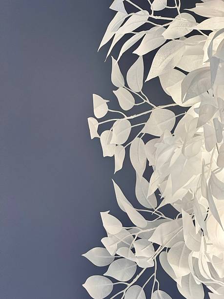 istock Minimalist white leaf decoration against blue background 2224323688