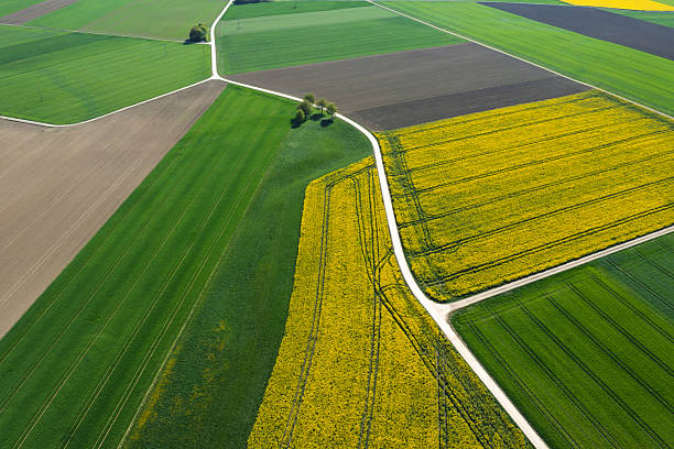 Aerial view of an abstract, rural landscape with a dirt road, green, brown and yellow fields and trees.