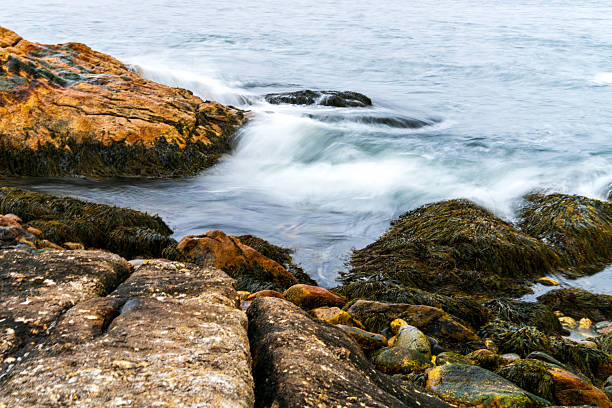 Reid State Park in Georgetown, Maine