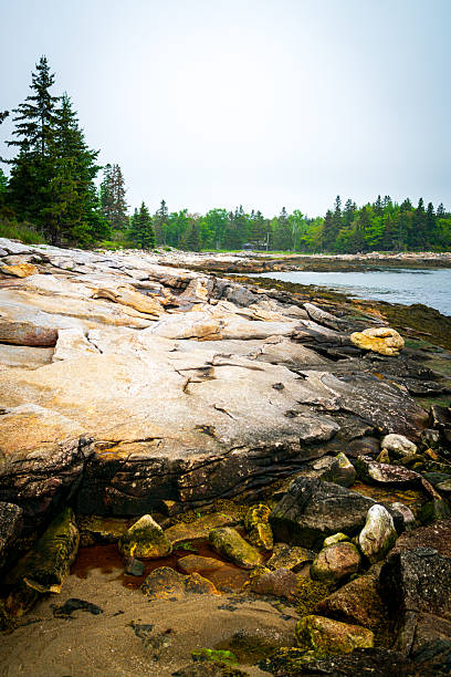 istock Reid State Park in Georgetown, Maine 2224332006