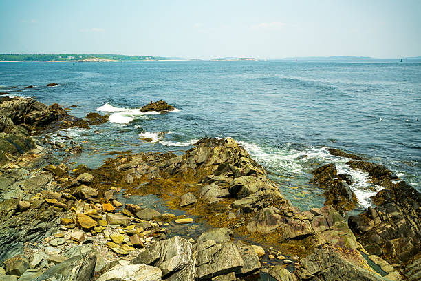 Coastline in Peaks Island, Maine