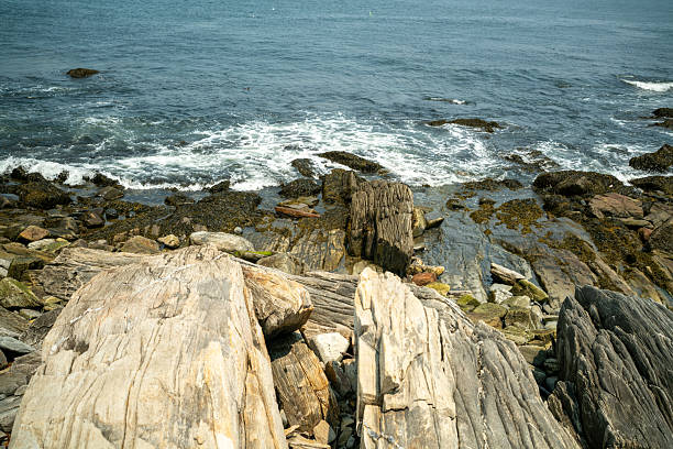 Coastline in Peaks Island, Maine