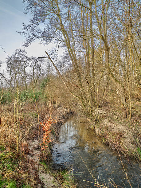 istock Idyllic winter landscape featuring a serene stream surrounded by bare trees under a clear blue sky 2224332351