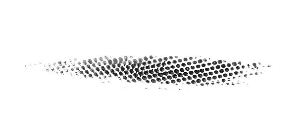 dots isolated on a white background like tire tracks