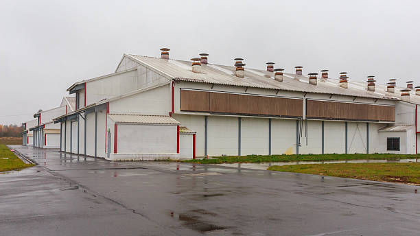 istock Exterior view of big chicken farm. 2224335717