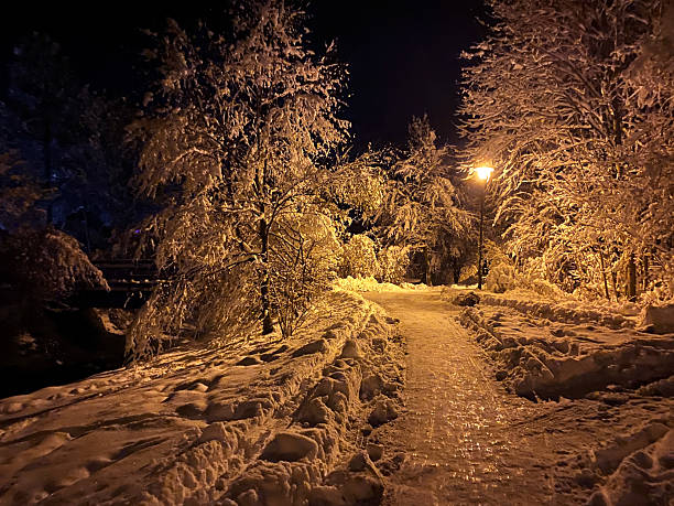 Snow-Covered Pathway Illuminated by Streetlights at Night