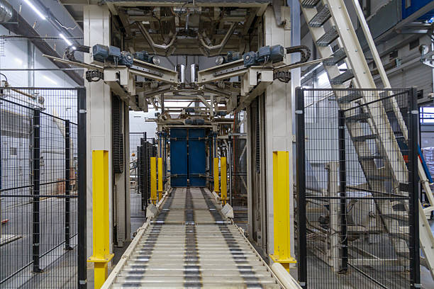 istock Packaging line of poultry farm production. 2224336243