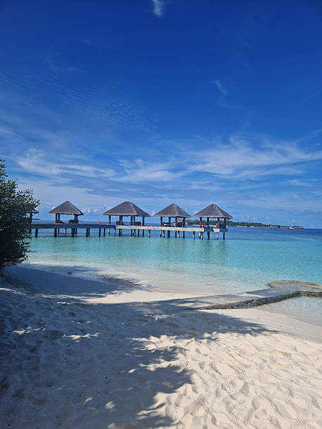 istock Maldives Beach Paradise Serene Overwater Bungalows under a Clear Blue Sky 2224336323