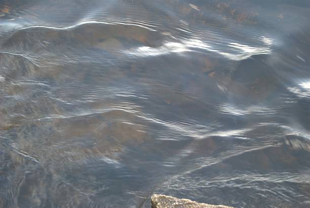 istock Rivers in Venezuela, Orinoco and Caroni. 2224338138