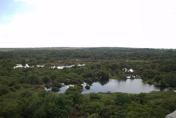 istock Rivers in Venezuela, Orinoco and Caroni. 2224338973