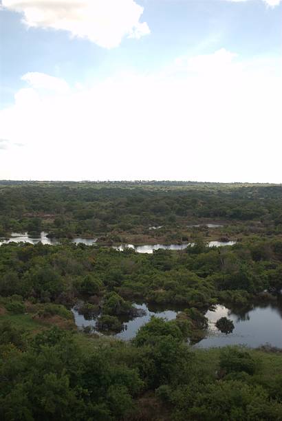 istock Rivers in Venezuela, Orinoco and Caroni. 2224338991