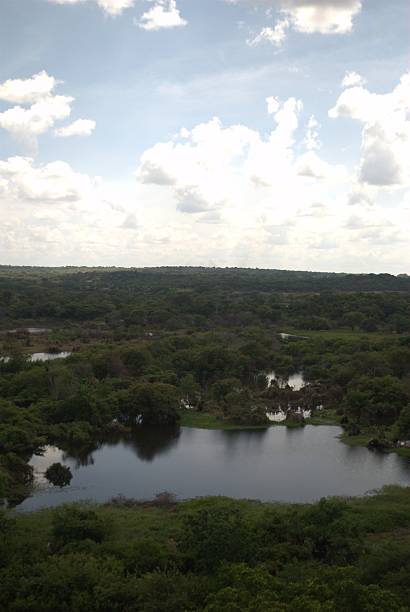 istock Rivers in Venezuela, Orinoco and Caroni. 2224338992