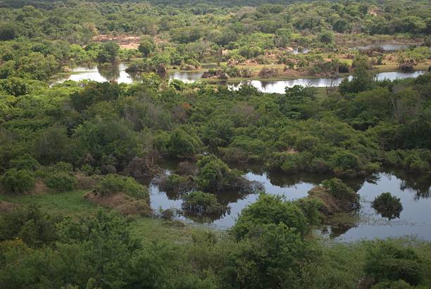 istock Rivers in Venezuela, Orinoco and Caroni. 2224339035