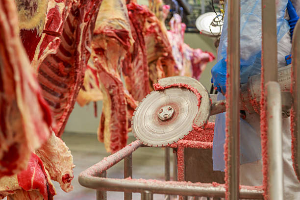 istock Worker with saw for quartering carcass of black angus beef. 2224339267