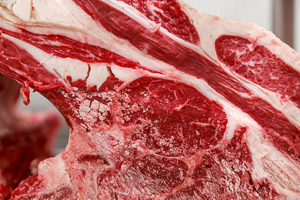 Closeup view of black angus primal cut. Production of big meat factory with processing line and slaughterhouse.