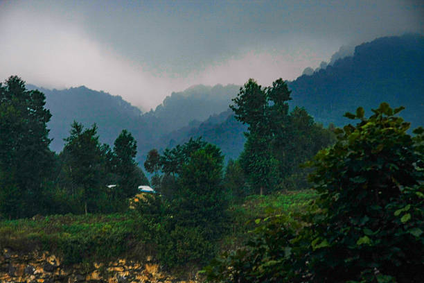 This evocative landscape captures the serene yet powerful presence of the Rwandan countryside. Distant mountain ranges, shrouded in mist, create a sense of infinite depth against a heavy, cloudy sky. In the mid-ground and foreground, various shades of green foliage and sturdy trees add texture and life to the scene. The overall impression is one of untouched natural beauty, where the elements combine to form a deeply atmospheric and tranquil vista.