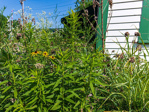 istock Cuyahoga Valley National Park 2224348128