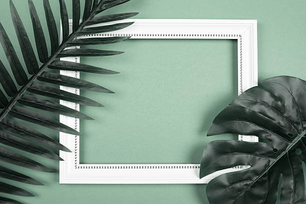 istock Leaves and white photo frame 2224348453