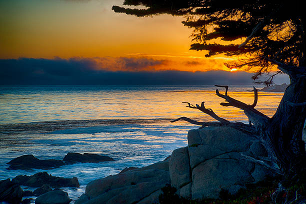 istock Orange sunset on 17 mile drive 2224386112